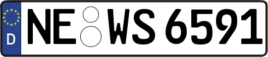 NE-WS6591
