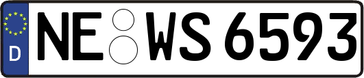 NE-WS6593