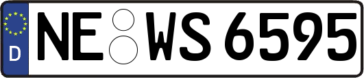 NE-WS6595