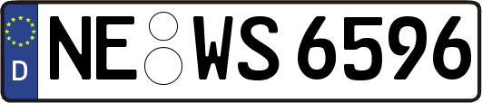 NE-WS6596