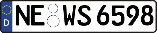 NE-WS6598