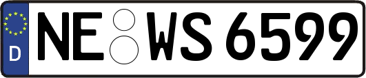 NE-WS6599