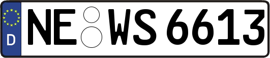 NE-WS6613