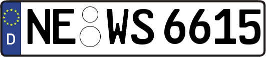 NE-WS6615
