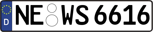 NE-WS6616