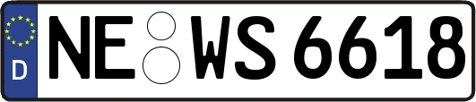 NE-WS6618