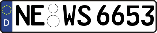 NE-WS6653