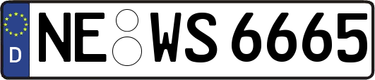 NE-WS6665