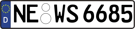 NE-WS6685