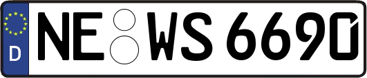 NE-WS6690