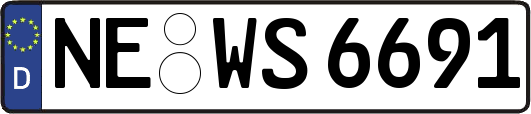 NE-WS6691
