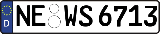NE-WS6713