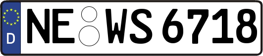 NE-WS6718