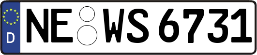 NE-WS6731