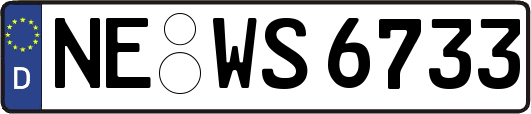 NE-WS6733