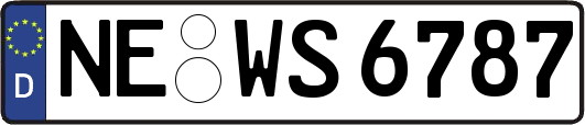 NE-WS6787