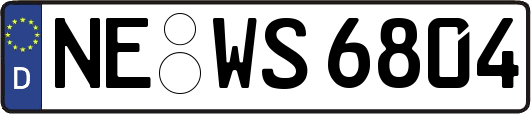 NE-WS6804