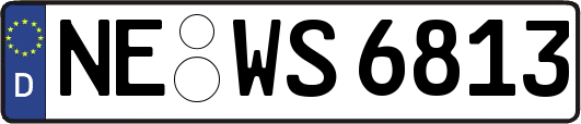 NE-WS6813