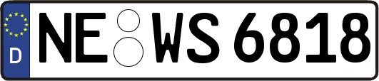 NE-WS6818