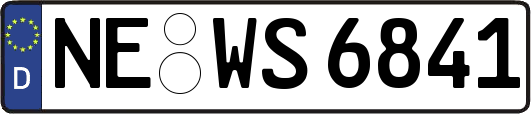 NE-WS6841