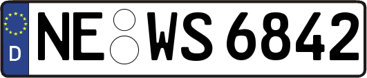 NE-WS6842