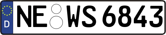 NE-WS6843