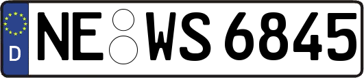 NE-WS6845