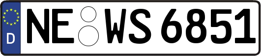 NE-WS6851