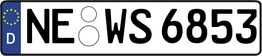 NE-WS6853