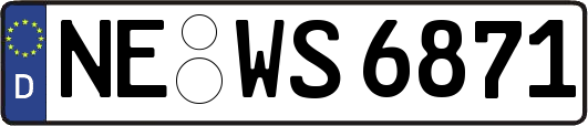 NE-WS6871