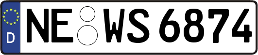 NE-WS6874