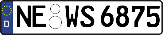 NE-WS6875