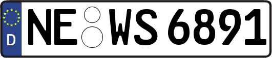 NE-WS6891