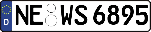 NE-WS6895
