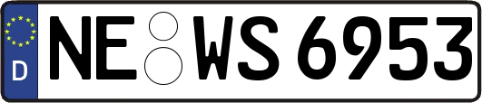 NE-WS6953