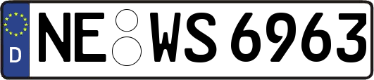NE-WS6963