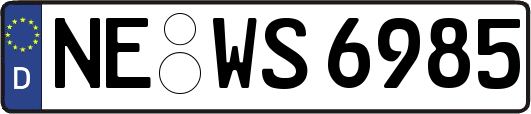 NE-WS6985