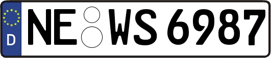 NE-WS6987