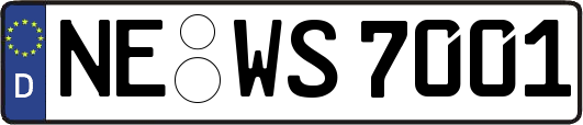NE-WS7001