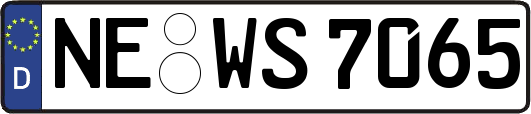 NE-WS7065