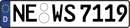 NE-WS7119