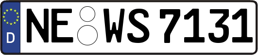 NE-WS7131