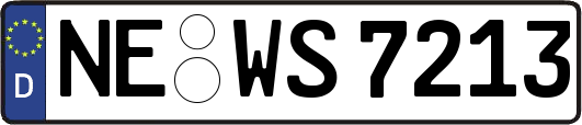 NE-WS7213
