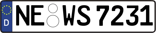 NE-WS7231