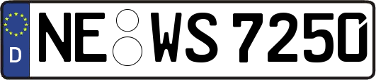 NE-WS7250