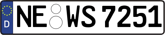NE-WS7251