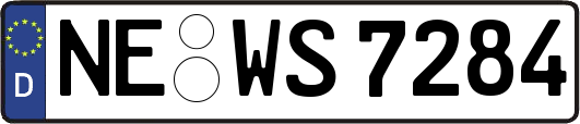 NE-WS7284