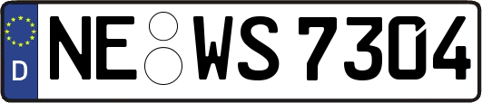 NE-WS7304