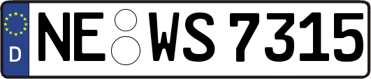 NE-WS7315