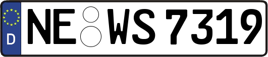 NE-WS7319